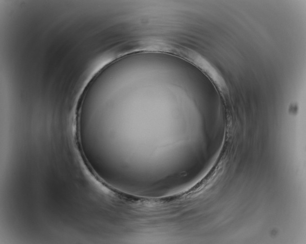 X0000102841095200808181342
