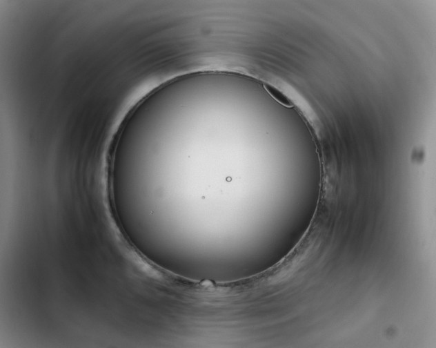 X0000102841096200808181342