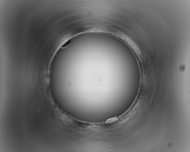 X0000102841097200808181342