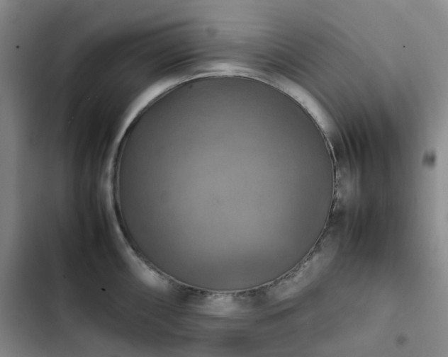 X0000102841098200808181342