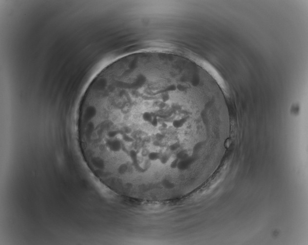 X0000102841099200808181342