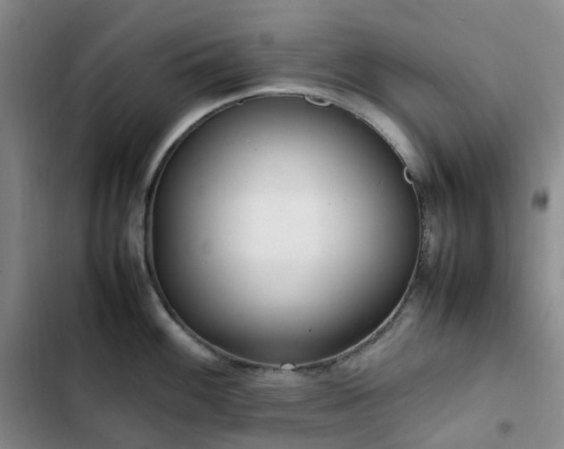 X0000102841100200808181342