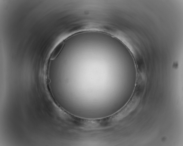 X0000102841101200808181342