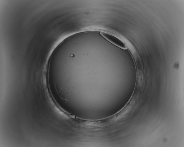 X0000102841102200808181342