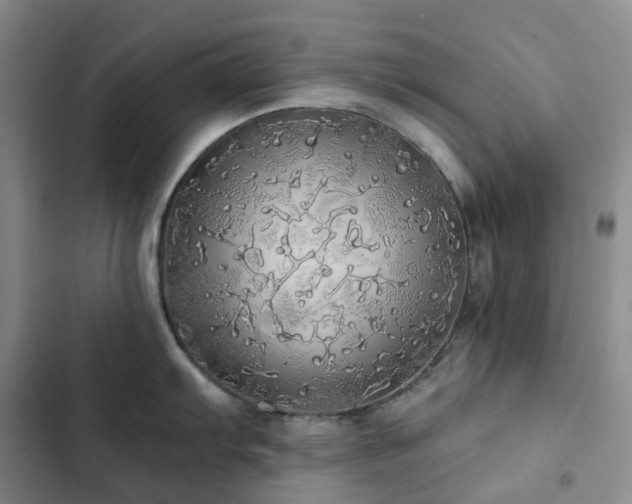 X0000102841103200808181342