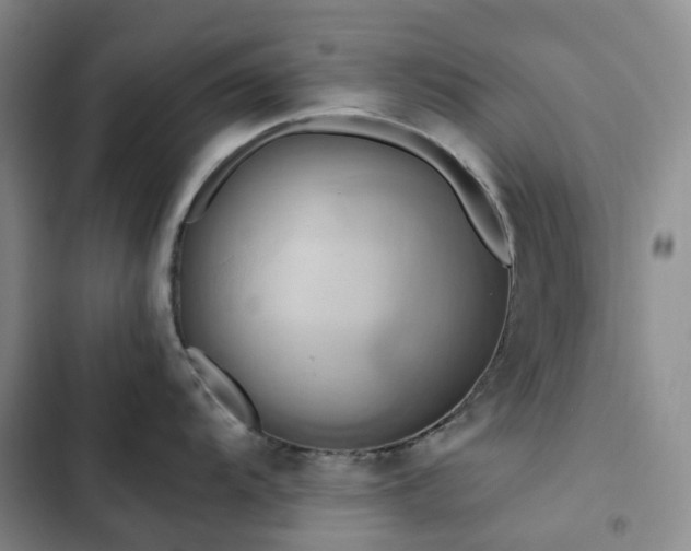 X0000102841104200808181342