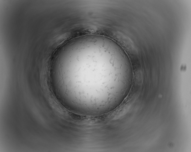 X0000102841105200808181341