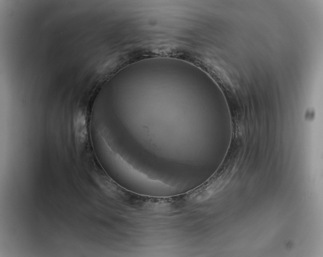X0000102841106200808181341