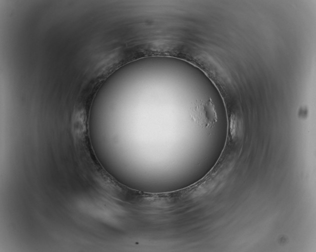 X0000102841107200808181341