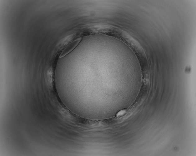 X0000102841108200808181341