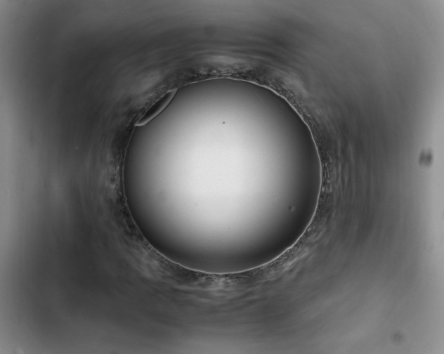 X0000102841109200808181341