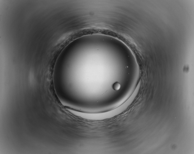 X0000102841110200808181341