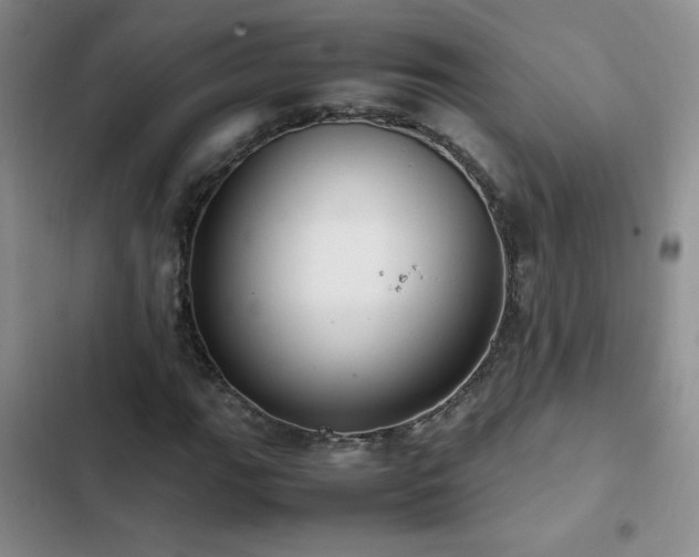 X0000102841111200808181341