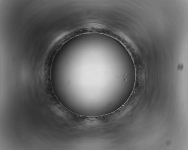 X0000102841112200808181341