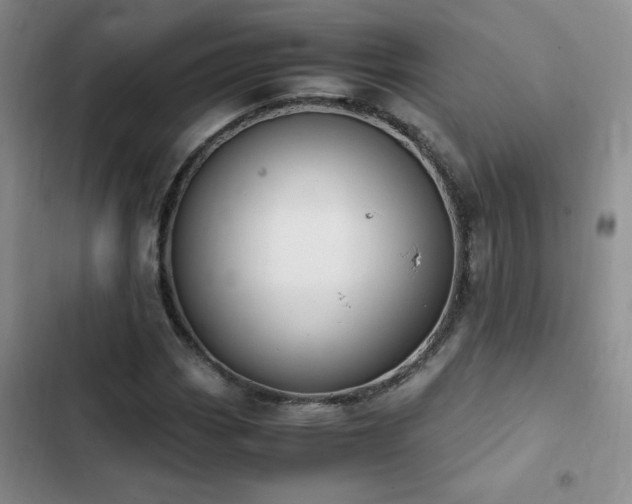 X0000102841113200808181341