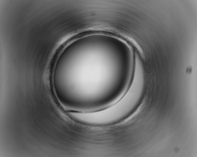 X0000102841114200808181341