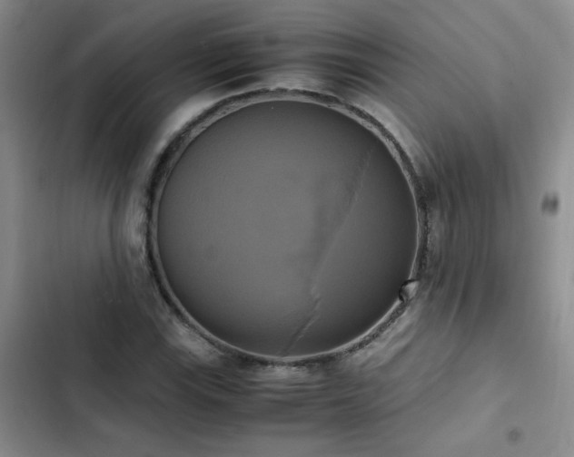 X0000102841115200808181341