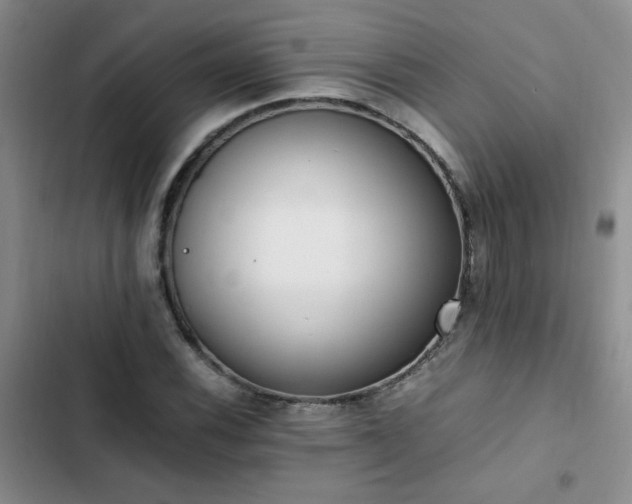 X0000102841116200808181341