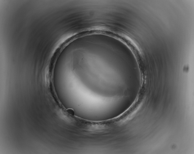 X0000102841117200808181341