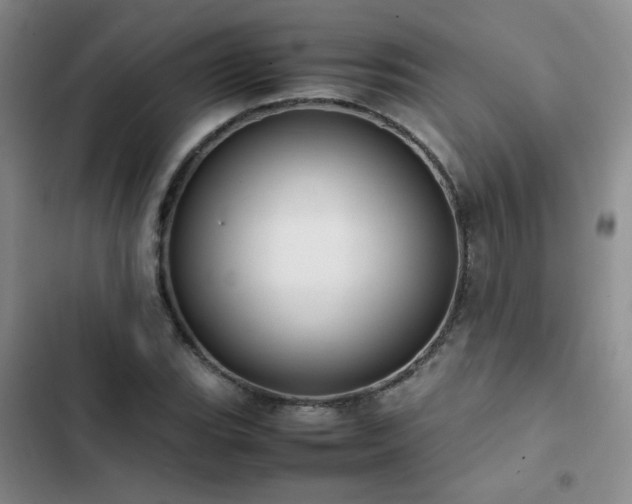 X0000102841119200808181341