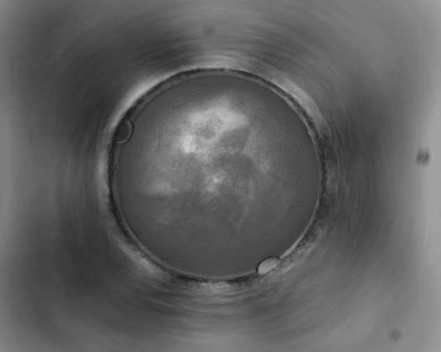 X0000102841120200808181341