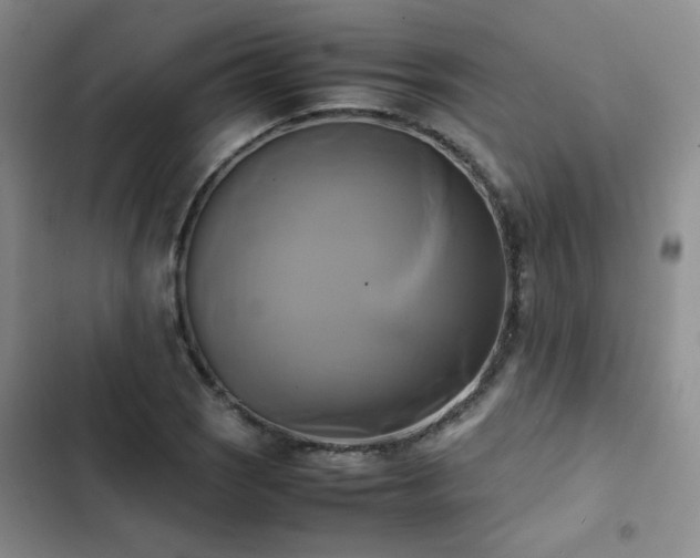 X0000102841121200808181341