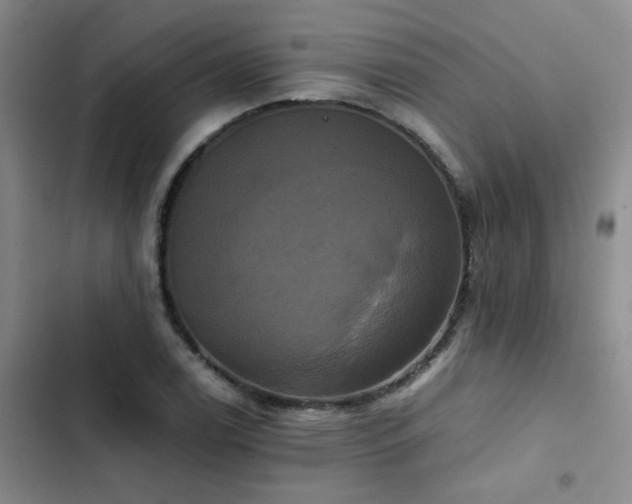 X0000102841122200808181341
