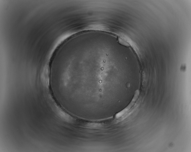 X0000102841123200808181341