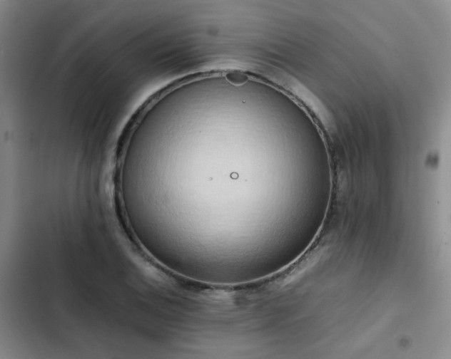 X0000102841124200808181341