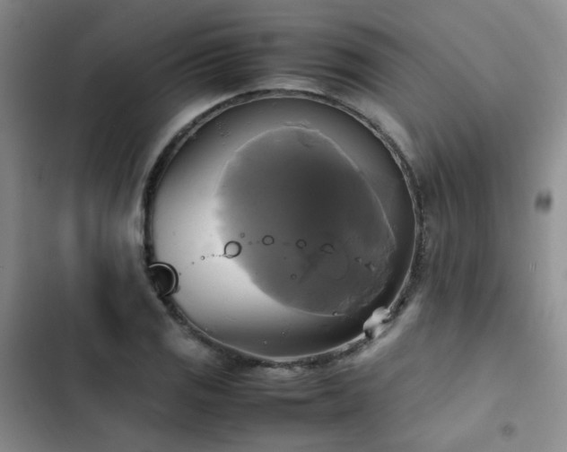 X0000102841125200808181342