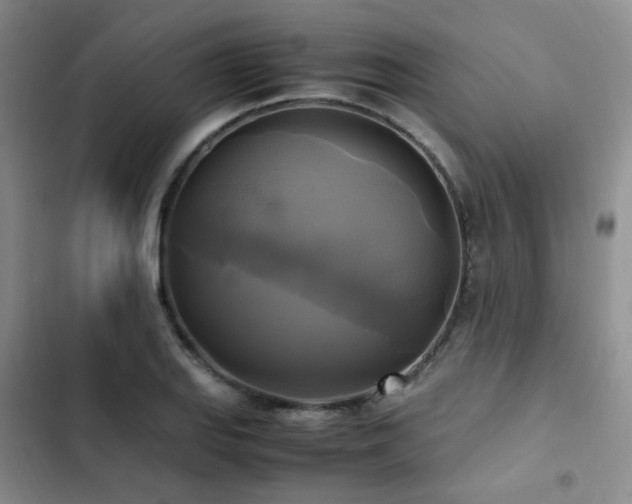 X0000102841127200808181342