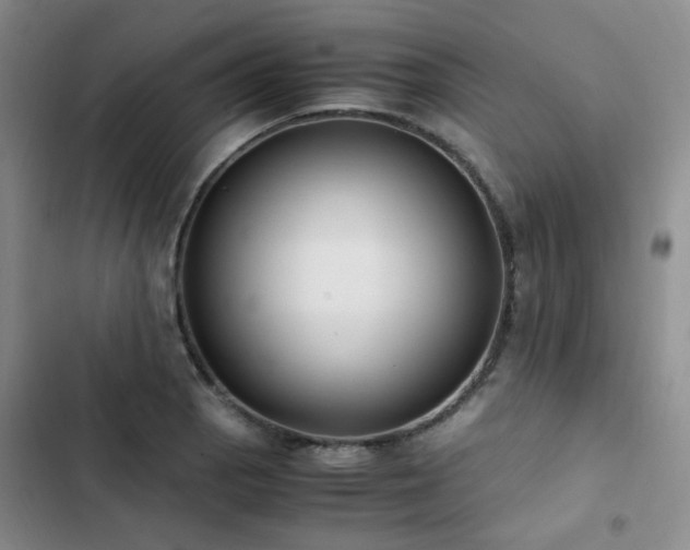 X0000102841129200808181342