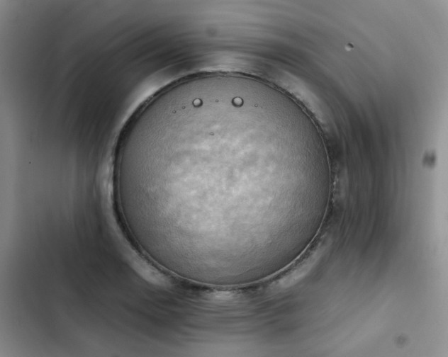 X0000102841130200808181342
