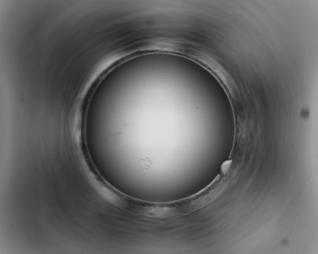 X0000102841131200808181342