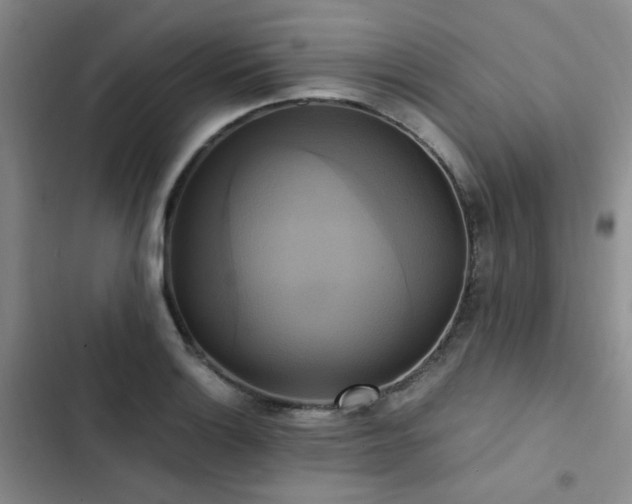 X0000102841132200808181342