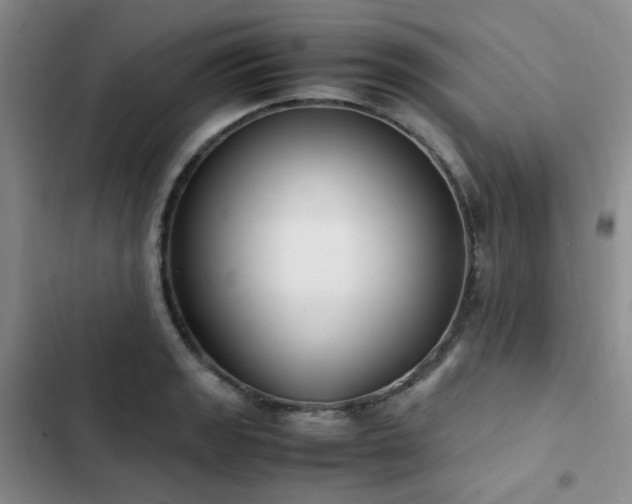 X0000102841133200808181342