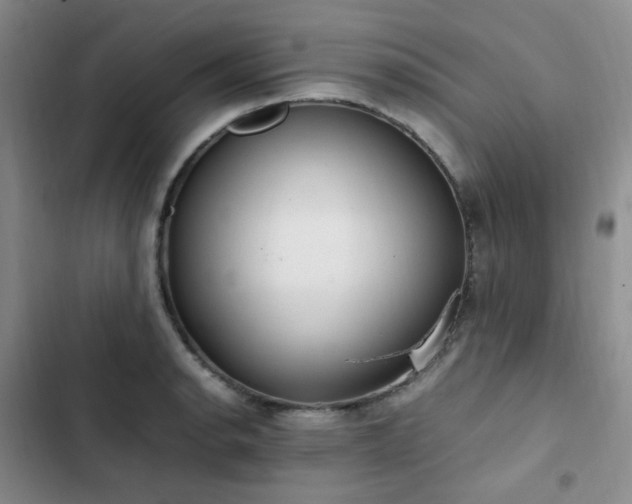 X0000102841134200808181342