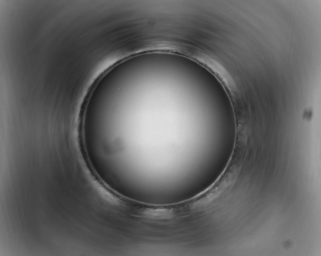X0000102841135200808181342