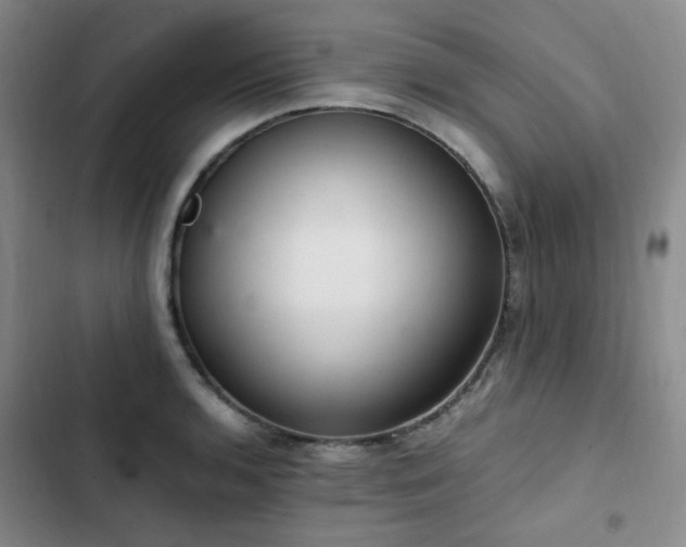 X0000102841136200808181342