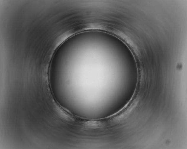 X0000102841137200808181342