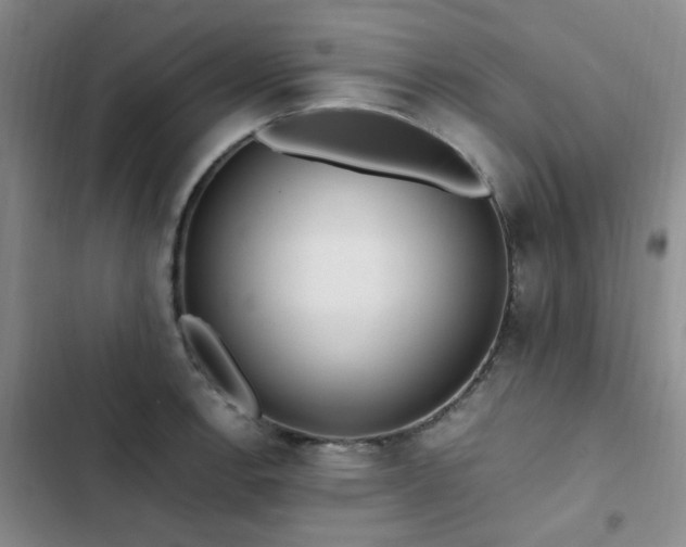 X0000102841138200808181342