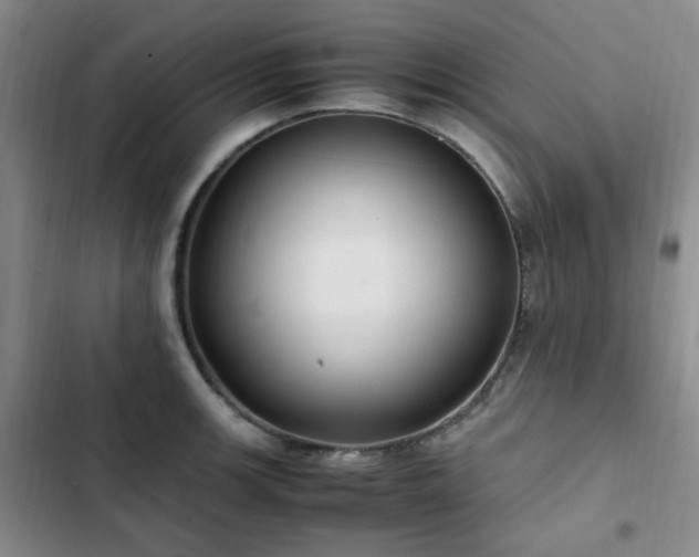 X0000102841139200808181342