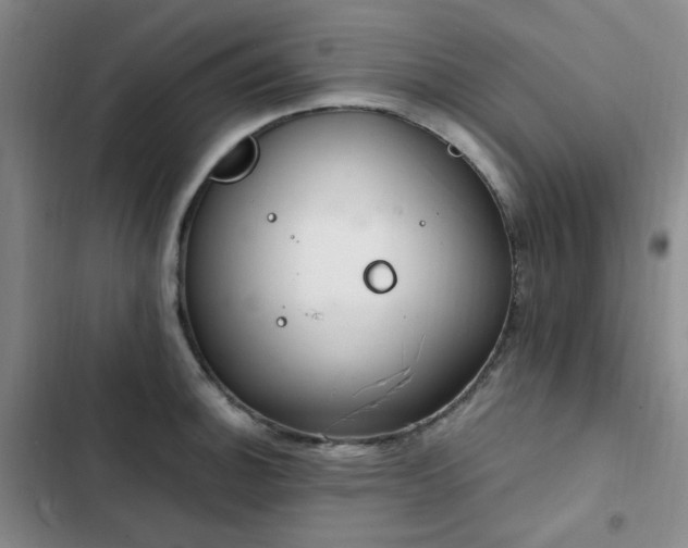 X0000102841140200808181342