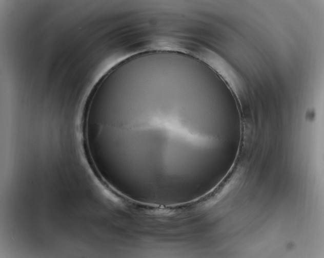 X0000102841141200808181342