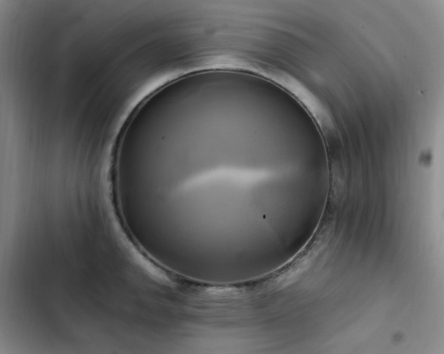 X0000102841142200808181342