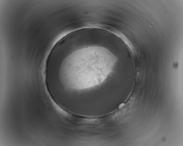 X0000102841143200808181342