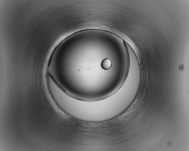 X0000102841144200808181342