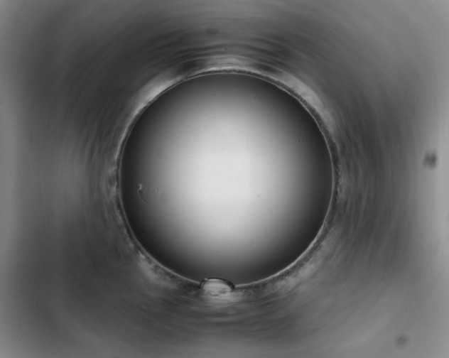 X0000102841145200808181342