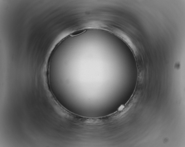 X0000102841146200808181342