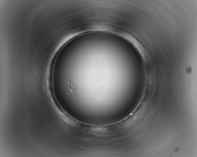 X0000102841147200808181342